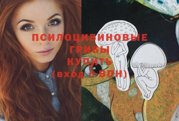 COCAINE Медногорск